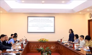 Tăng cường chia sẻ thông tin quản lý báo chí và truyền thông Việt Nam - Lào