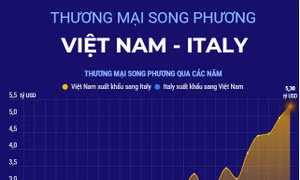 Thương mại song phương Việt Nam - Italy