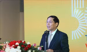 Kỷ niệm trọng thể 50 năm quan hệ ngoại giao Việt Nam - Thụy Điển