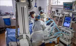 WHO: Thế giới vẫn ghi nhận 10.000 ca tử vong mỗi tháng do COVID-19