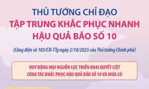 Thủ tướng Chính phủ chỉ đạo tập trung khắc phục nhanh hậu quả bão số 10 và mưa lũ
