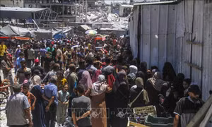LHQ: Nạn đói ở Gaza đã chấm dứt, nhưng nguy cơ vẫn ở mức báo động