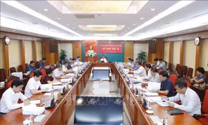 Đề nghị Bộ Chính trị xem xét, kỷ luật Chủ tịch Viện Hàn lâm Khoa học xã hội Việt Nam