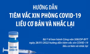 Hướng dẫn tiêm vaccine phòng COVID-19 liều cơ bản và nhắc lại