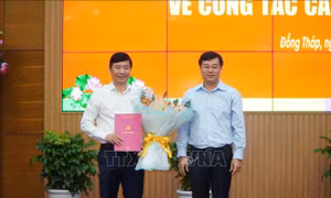 Tinh gọn bộ máy: Cần nhiều tấm gương mở đường
