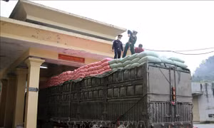 'Lá chắn thép' ngăn chặn tội phạm ma túy ở vùng biên Nghệ An