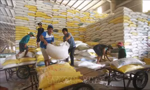 Thúc đẩy tiêu thụ nông sản qua các kênh bán sỉ