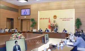 Cho ý kiến về việc bổ sung hai dự án luật vào Chương trình xây dựng luật, pháp lệnh năm 2023