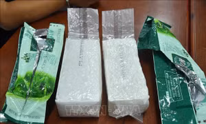 Bắt đối tượng người nước ngoài nghi vận chuyển ma túy về Việt Nam