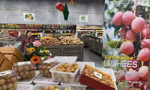 Tăng cường đổi mới sáng tạo để nâng cao hiệu quả nông nghiệp Việt Nam 