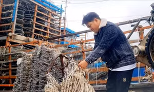 Chuyến biển đầu năm với nhiều kỳ vọng mới