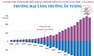 15 năm Việt Nam được kết nạp là thành viên của WTO: Thương mại tăng trưởng ấn tượng