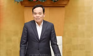 Phê duyệt danh sách thành viên Ủy ban Quốc gia phòng, chống AIDS, ma túy, mại dâm