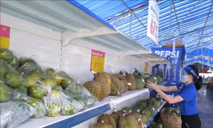 Chủ động hỗ trợ nông dân tiêu thụ nông, thủy sản chính vụ thu hoạch