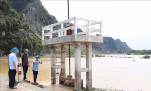 Theo dõi chặt chẽ diễn biến mưa lũ, bảo đảm an toàn hệ thống đê