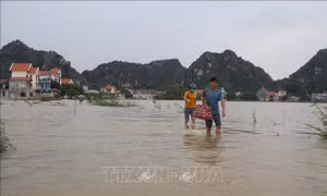 Ứng phó bão số 1: Hà Nam chủ động ứng phó mưa lớn lên tới 200 mm 
