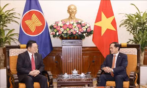 Tăng cường hợp tác, phối hợp giữa Việt Nam và Ban Thư ký ASEAN