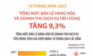 Tổng mức bán lẻ hàng hóa và doanh thu dịch vụ tiêu dùng tăng 9,3%