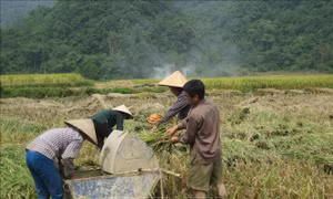 Đẩy mạnh đào tạo nghề, việc làm tại chỗ cho lao động trẻ nông thôn miền núi