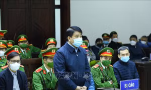 Chỉ đạo quyết liệt, tạo điều kiện giúp Nhật Cường trúng thầu