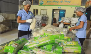 Phú Thọ tạo chỗ đứng, nâng tầm cho sản phẩm OCOP