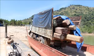 Kon Tum: Điều tra làm rõ vụ vận chuyển gỗ lậu trên sông Sê San