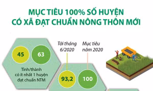 Mục tiêu 100% số huyện có xã đạt chuẩn nông thôn mới