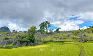 Xây dựng Điện Biên trở thành trung tâm du lịch của vùng Trung du miền núi phía Bắc