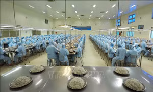 Khẳng định giá trị, thương hiệu Việt Nam