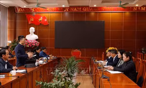 Chỉ đạo, quản lý việc thực hiện đầy đủ chính sách về giáo dục dân tộc