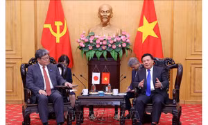 Tăng cường trao đổi lý luận, chính sách giữa Đảng Cộng sản Việt Nam và Đảng Dân chủ Tự do Nhật Bản