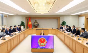 Phó Thủ tướng Hồ Đức Phớc tiếp Phó Chủ tịch Ngân hàng Thế giới (WB)