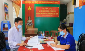 Vĩnh Long sẵn sàng cho Ngày hội toàn dân