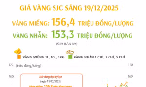 Giá vàng miếng sáng 19/12/2025