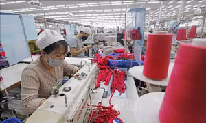 EuroCham: Chỉ số niềm tin kinh doanh đạt mức cao nhất trong 7 năm
