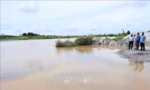 Hải Phòng phát lệnh báo động 1 trên hệ thống sông Thái Bình