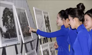 Chiêm ngưỡng những bức ảnh đẹp về Bình Thuận sau 50 năm giải phóng