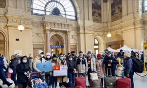Đại sứ quán Việt Nam tại Hungary hỗ trợ công dân sơ tán từ Ukraine