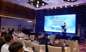 Xúc tiến đầu tư các hãng tàu container Cảng Chân Mây
