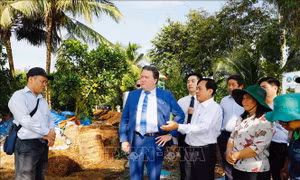 Dồn sức sản xuất 1 triệu ha lúa chất lượng cao, giảm phát thải