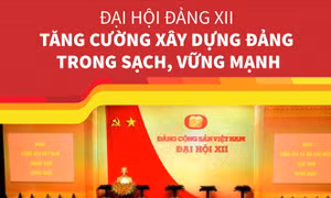 Đại hội Đảng XII: Tăng cường xây dựng Đảng trong sạch, vững mạnh