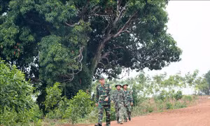 Lá chắn thép phòng, chống dịch COVID-19 tuyến biên giới 
