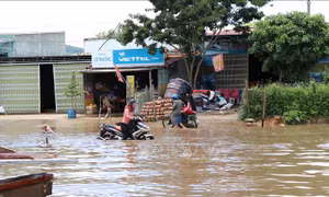 Đường Hồ Chí Minh đoạn qua Ngọc Hồi, Kon Tum ngập sâu sau mưa lớn kéo dài
