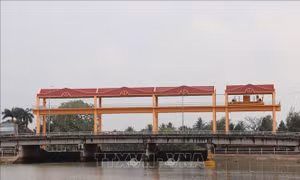 Chủ động phương án sản xuất giữa mùa hạn mặn