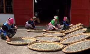 Ứng dụng công nghệ cao nâng tầm giá trị nông sản