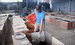 Trở thành tỷ phú nhờ nuôi 'đặc sản' núi rừng
