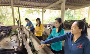Nữ cán bộ luôn tâm huyết trong công tác hội và phong trào phụ nữ