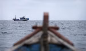 EU thông qua luật mới để theo dõi tàu cá