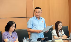 Cần có chính sách rõ đối tượng, rõ mức hỗ trợ để phát triển kinh tế tư nhân 