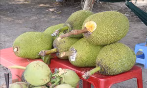 Nguồn cung hạn chế, mít Thái ở Tiền Giang 'sốt' giá
